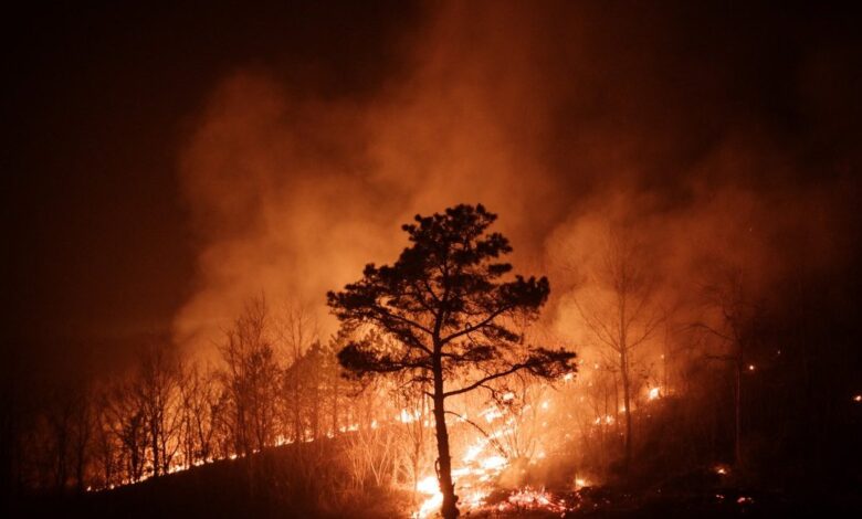 AFP 20250326 37VV3V7 v2 Preview TopshotSkoreaEnvironmentAccidentFire 1200x630