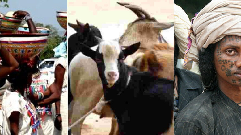 Fulani