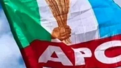 APC e1710843993672 768x402 1 660x330.webp