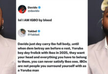 Davido 13