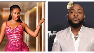 Davido Sophia Momodu