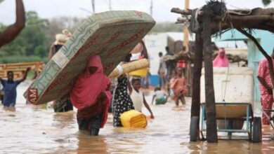 Flood 3