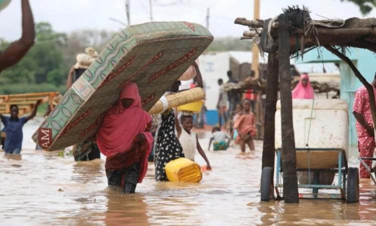 Flood 3