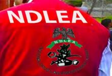 NDLEA 1