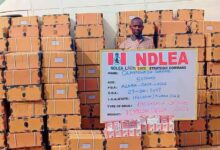 NDLEA 3