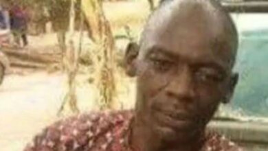 Nelson Adepoyigi