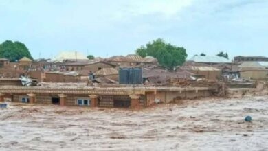 Niger Flood 1