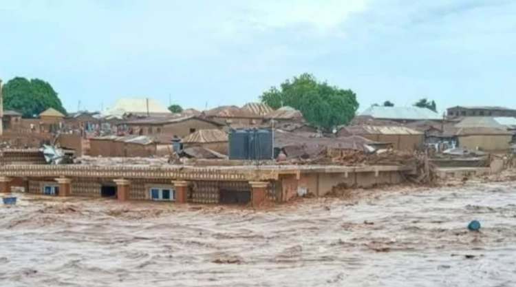 Niger Flood 1