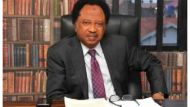 Shehu 1