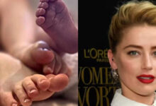 amber heard twins