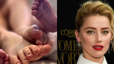 amber heard twins