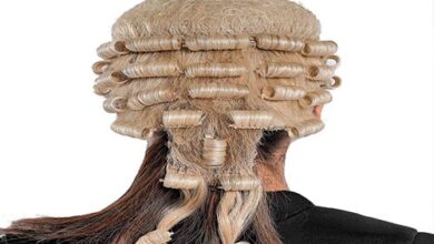 wig lawyer
