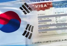 workation visa south korea.webp