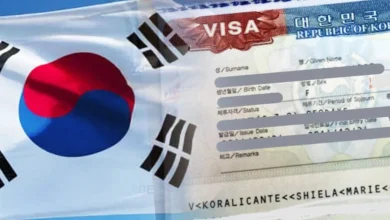workation visa south korea.webp