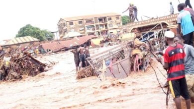 flood in Niger