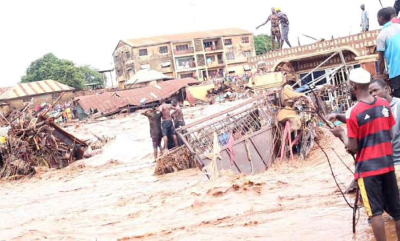 flood in Niger